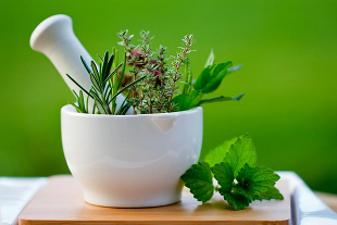 How to deal with the disease of herbs